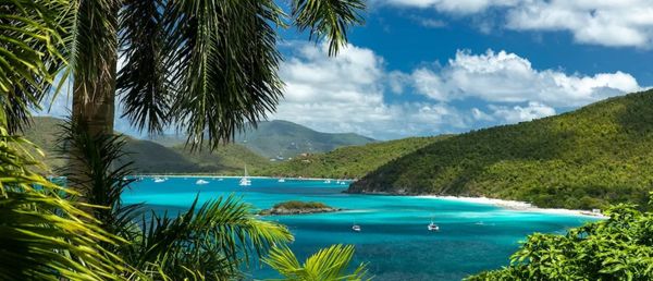 St. John: Your Questions, Answered with Island Ease and Barefoot Luxury.